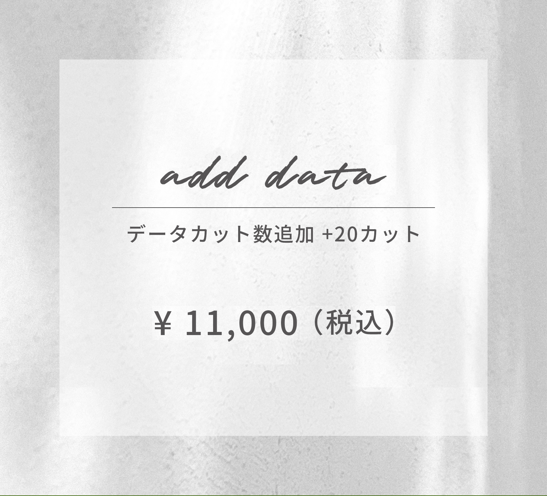 add date ￥11,000（税込）